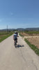 Cycling through wine region in sunny Spain