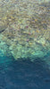 View of the Red Sea corals in Egypt
