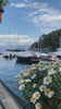 Sea view next to daisies in Portofino
